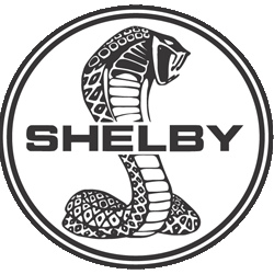 Shelby VIN decoder
