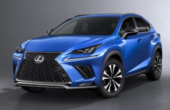 NX 300